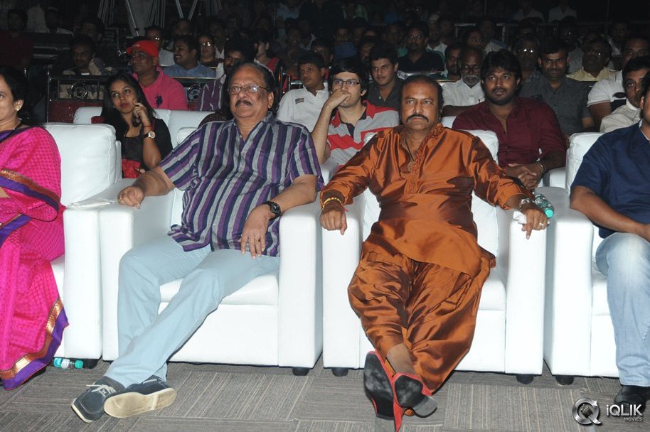 Current-Theega-Movie-Success-Meet